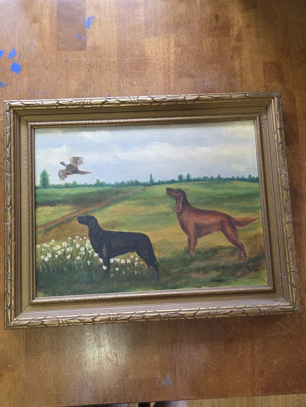 Vintage 1946 Original Canadian Sporting Art - Irish Setter & Black Lab on Point